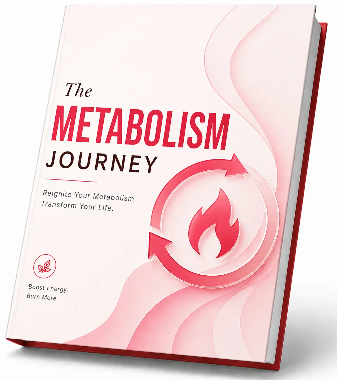 bonus-metabolism-journey.webp